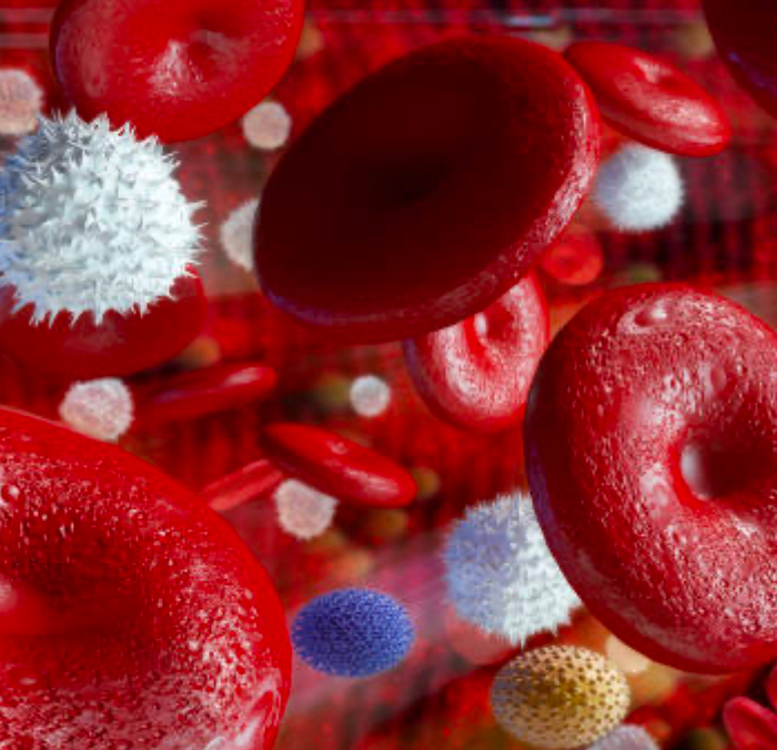 Heme/Oncology Flashcards