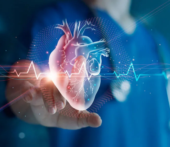 Cardiology Flash Cards