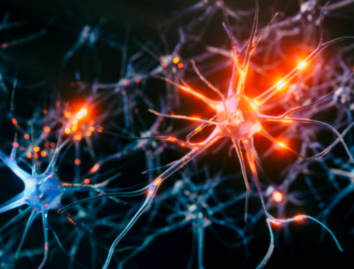 Neurology Flashcards