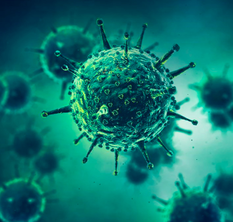 Infectious Diseases flashcards